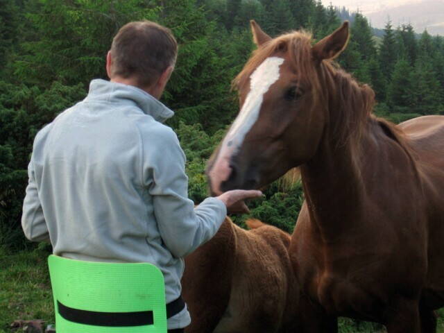 лошади возле Петроса Черногорского
